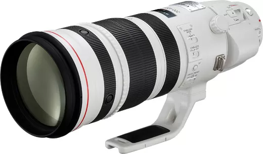 Canon EF 200-400mm f/4L IS USM Extender 1.4x