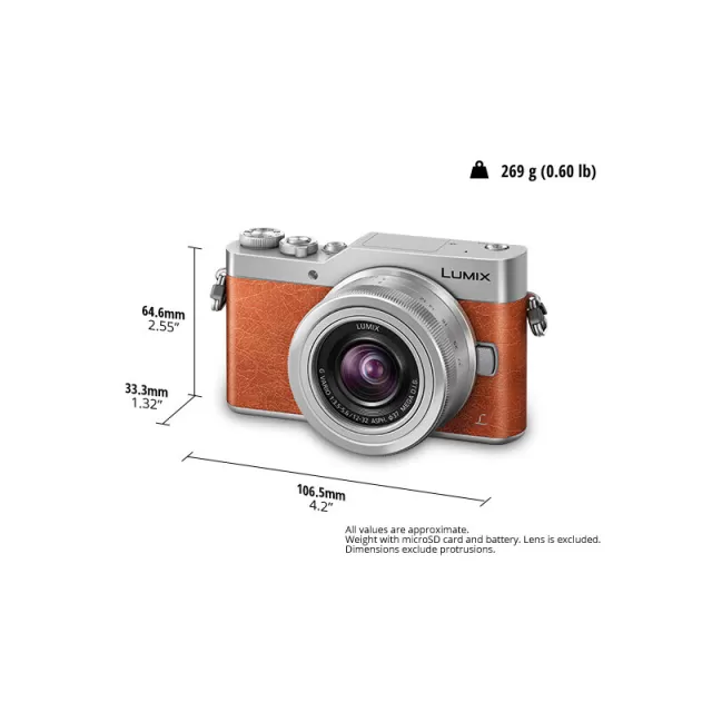 Panasonic Lumix DC-GF9
