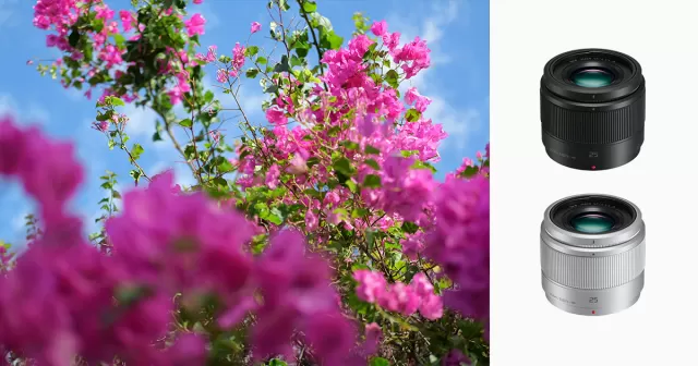 Panasonic Lumix LUMIX G 25mm F1.7