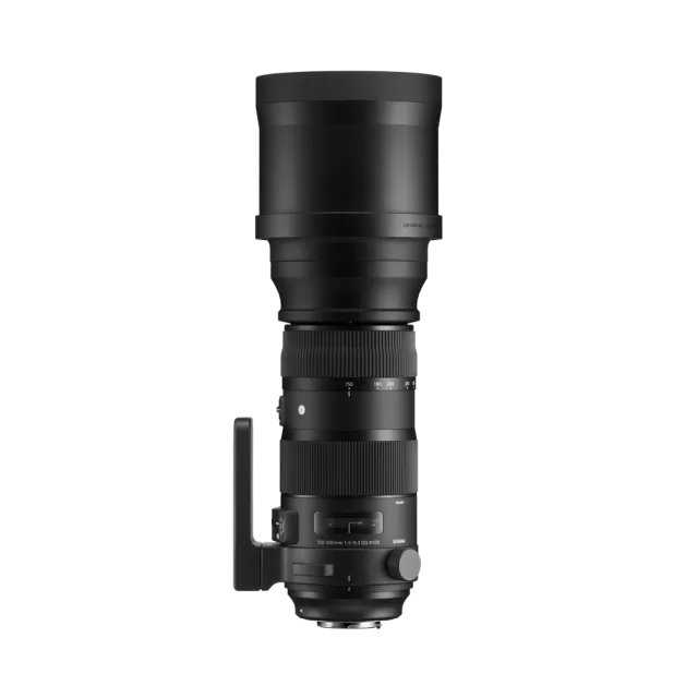 Sigma 150-600mm F5-6.3 DG OS HSM | Sports (SIGMA SA-mount)