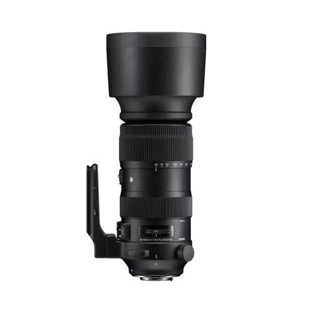 Sigma 60-600mm F4.5-6.3 DG OS HSM | Sports (Canon EF mount)