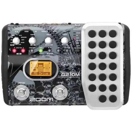 Zoom G2.1DM